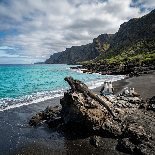 Galápagos Islands